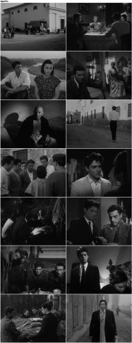 Gli Sbandati / Abandoned (1955/DVDRip)
