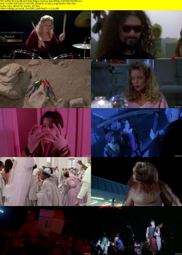 Bill and Teds Bogus Journey 1991 BRRip XviD MP3-RARBG