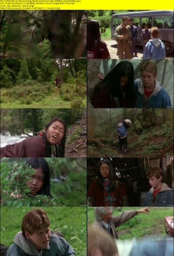 The Amazing Panda Adventure 1995 WEBRip x264-RARBG