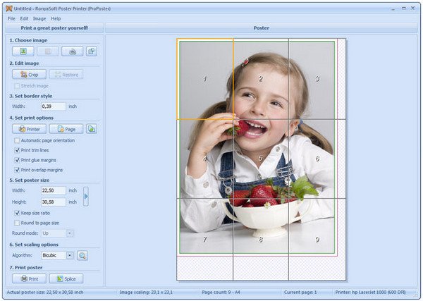 RonyaSoft Poster Printer 3.2.14 Multilingual Portable 