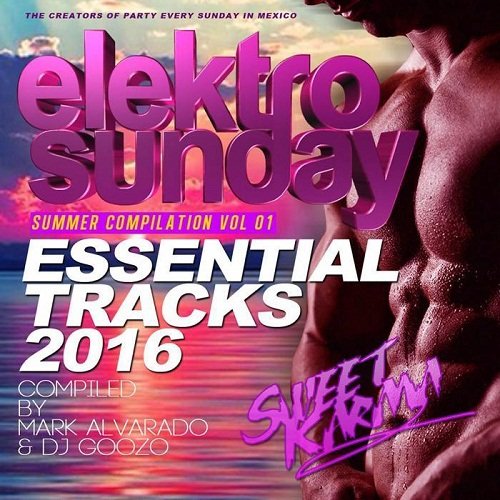 Elektrosunday Summer Compilation (2016)