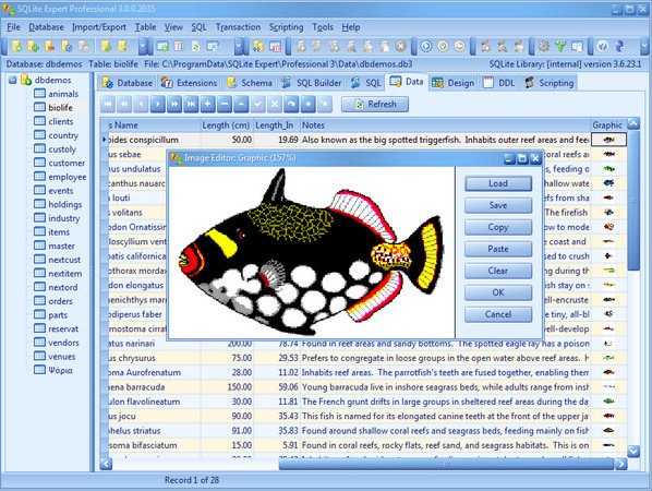 SQLite Expert Professional v4.2.0.703 (x86) 