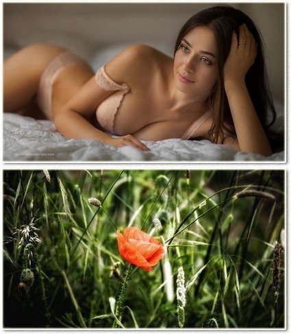 Wallpapers on a desktop 994