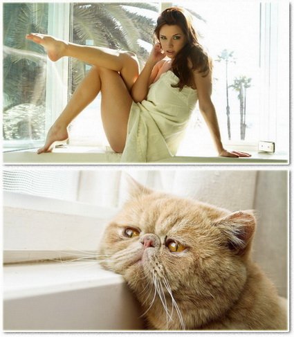 Beautiful widescreen wallpapers 1