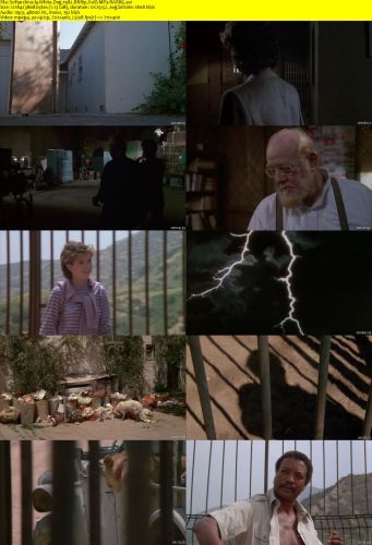 White Dog 1982 BRRip XviD MP3-RARBG
