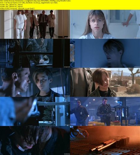 Terminator 2 Judgment Day 1991 iNTERNAL DVDRip x264-REGRET