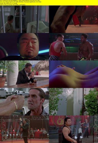 Shootfighter 2 1996 1080p BluRay x264 DTS-FGT