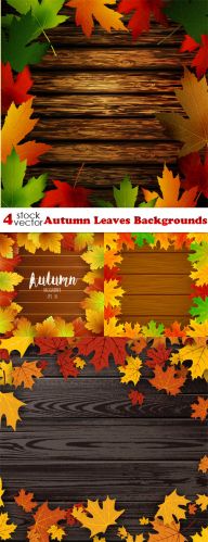 Vectors - Autumn Leaves Backgrounds