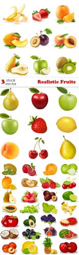 Vectors -- Realistic Fruits