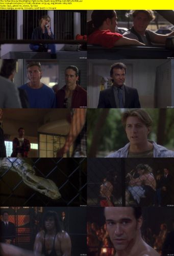 Shootfighter Fight to the Death 1993 BRRip XviD MP3-RARBG