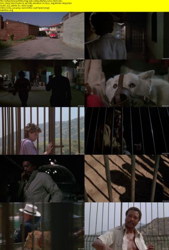 White Dog 1982 1080p BluRay X264-7SinS
