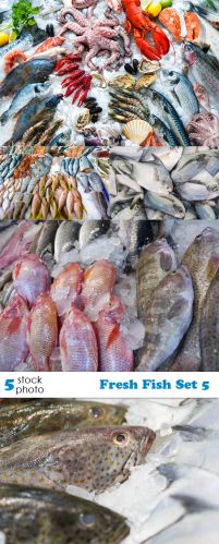  Photos - Fresh Fish Set 5