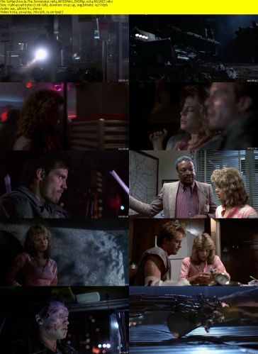 The Terminator 1984 iNTERNAL DVDRip x264-REGRET