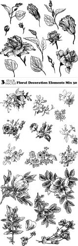 Vectors - Floral Decoration Elements Mix 30