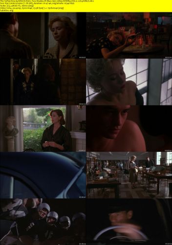 Wild Orchid 2 Two Shades Of Blue 1991 1080p WEBRip DD2.0 x264-KiNGS