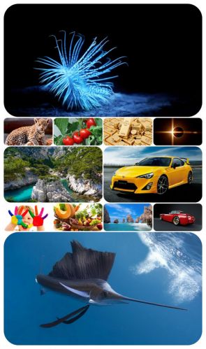 Beautiful Mixed Wallpapers Pack 398