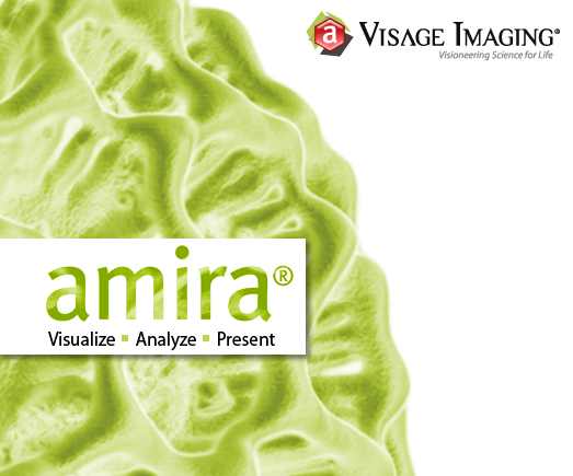 Portable Amira 5.3.2