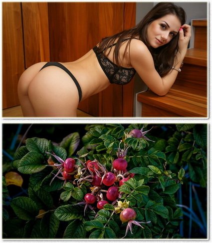 Beautiful widescreen wallpapers 9