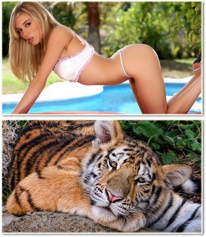 Beautiful widescreen wallpapers 6