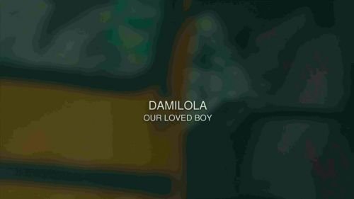 BBC - Damilola, Our Loved Boy (2016) 720p HDTV x264-TLA
