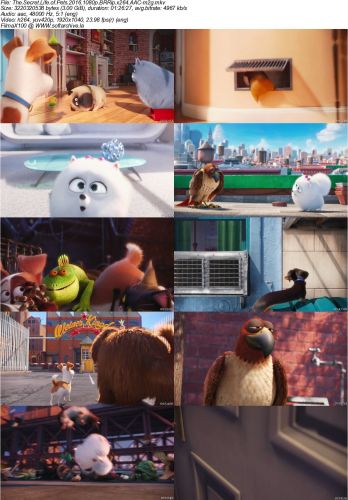 for mac download The Secret Life of Pets