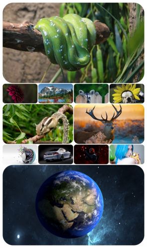 Beautiful Mixed Wallpapers Pack 405