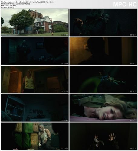 Dont Breathe 2016 1080p BluRay x265 ShAaNiG
