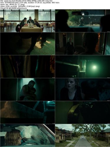 Dont Breathe 2016 1080p BRRip x264 AAC-m2g