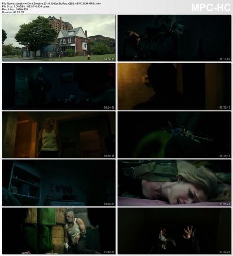 Dont Breathe 2016 1080p BluRay x265 HEVC 6CH-MRN