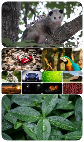 Beautiful Mixed Wallpapers Pack 403