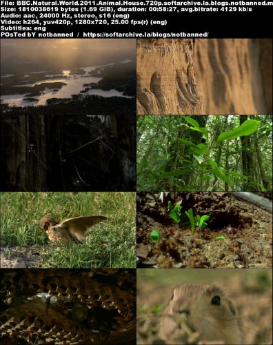 BBC Natural World - Animal House (2011) (2016) 720p+1080p HDTV x264-MVGroup