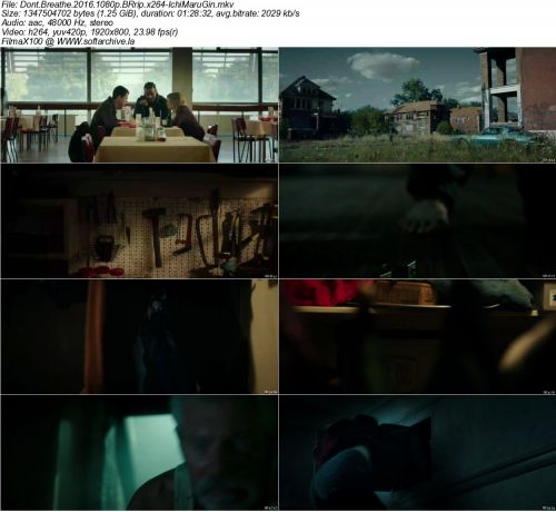 Dont Breathe 2016 1080p BRrip x264-IchiMaruGin