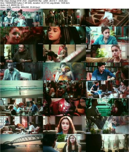 Dear Zindagi 2016 2CD DesiPDVD Rip x264 AC3 5.1 DUS