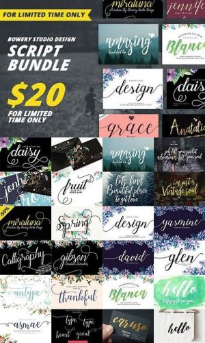 Fonts Bowery Bundle - 1003409