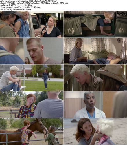 Love Everlasting 2016 HDRip XviD AC3-EVO