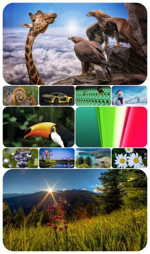 Beautiful Mixed Wallpapers Pack 406