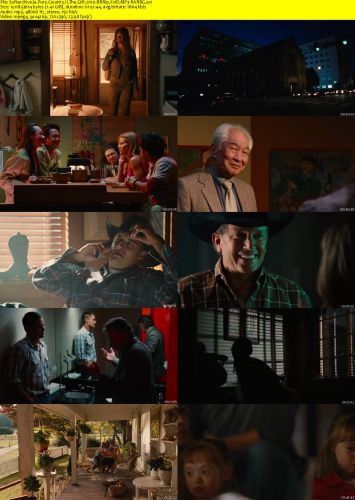 Pure Country II The Gift 2010 BRRip XviD MP3-RARBG