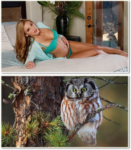 Beautiful widescreen wallpapers 12