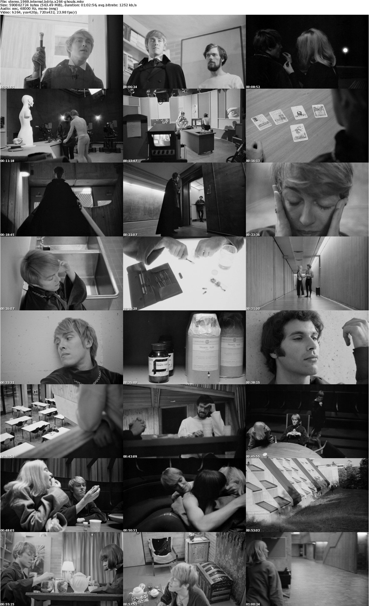 Stereo 1969 INTERNAL BDRip x264-GHOULS