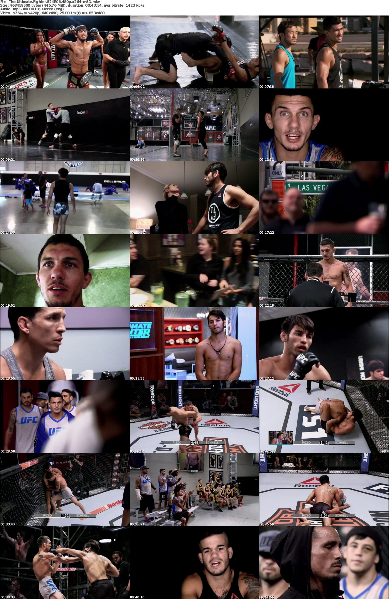 The Ultimate Fighter S24E06 480p x264-mSD