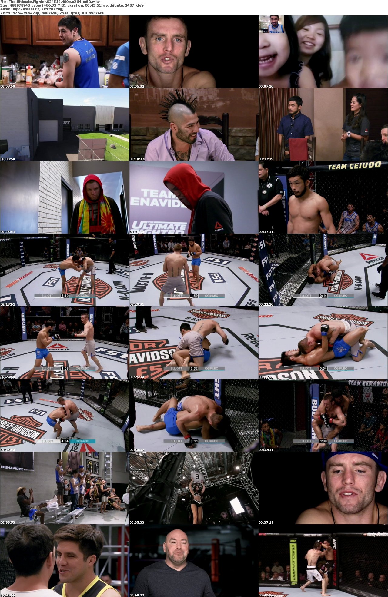 The Ultimate Fighter S24E12 480p x264-mSD
