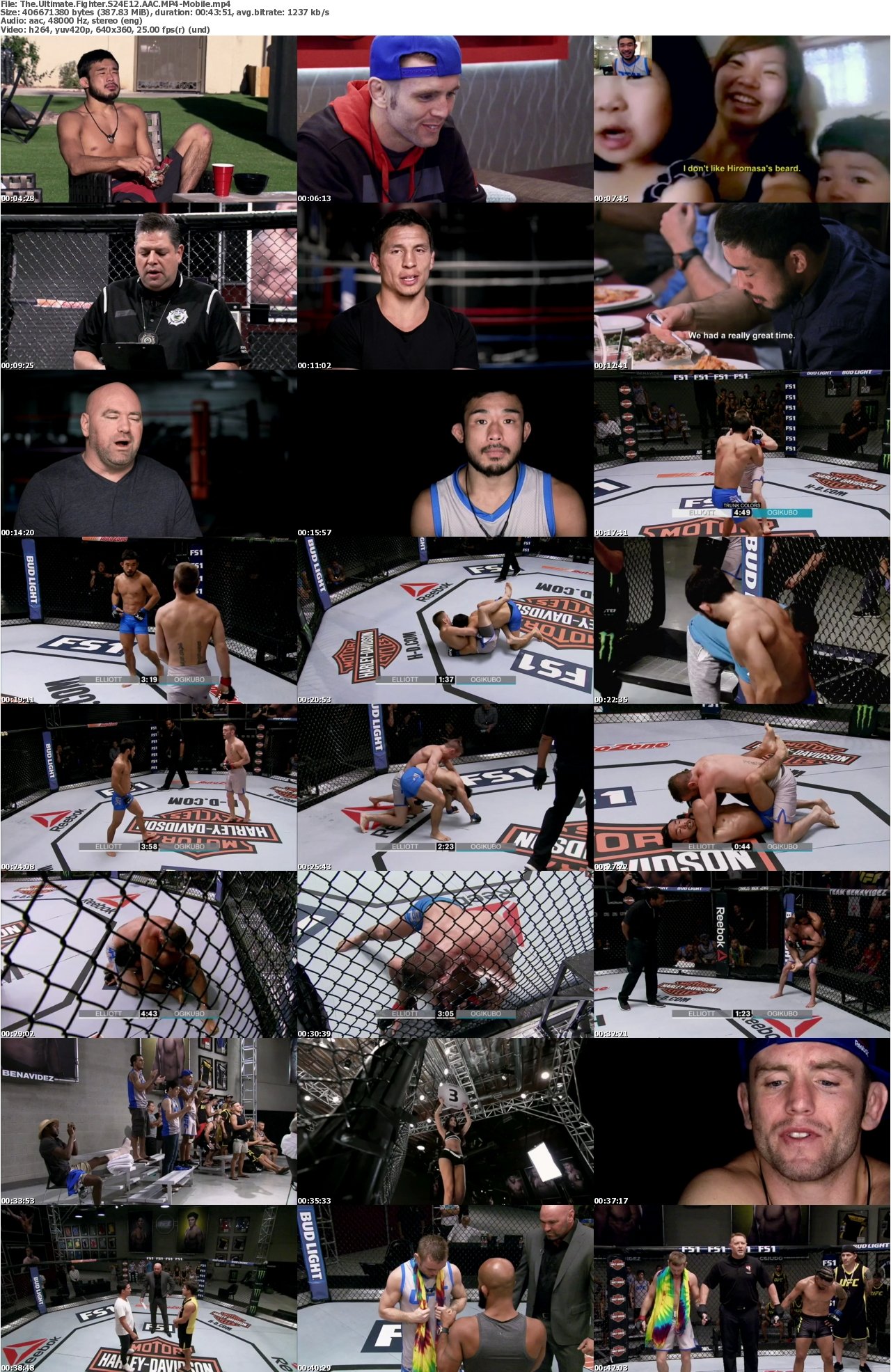 The Ultimate Fighter S24E12 AAC MP4-Mobile