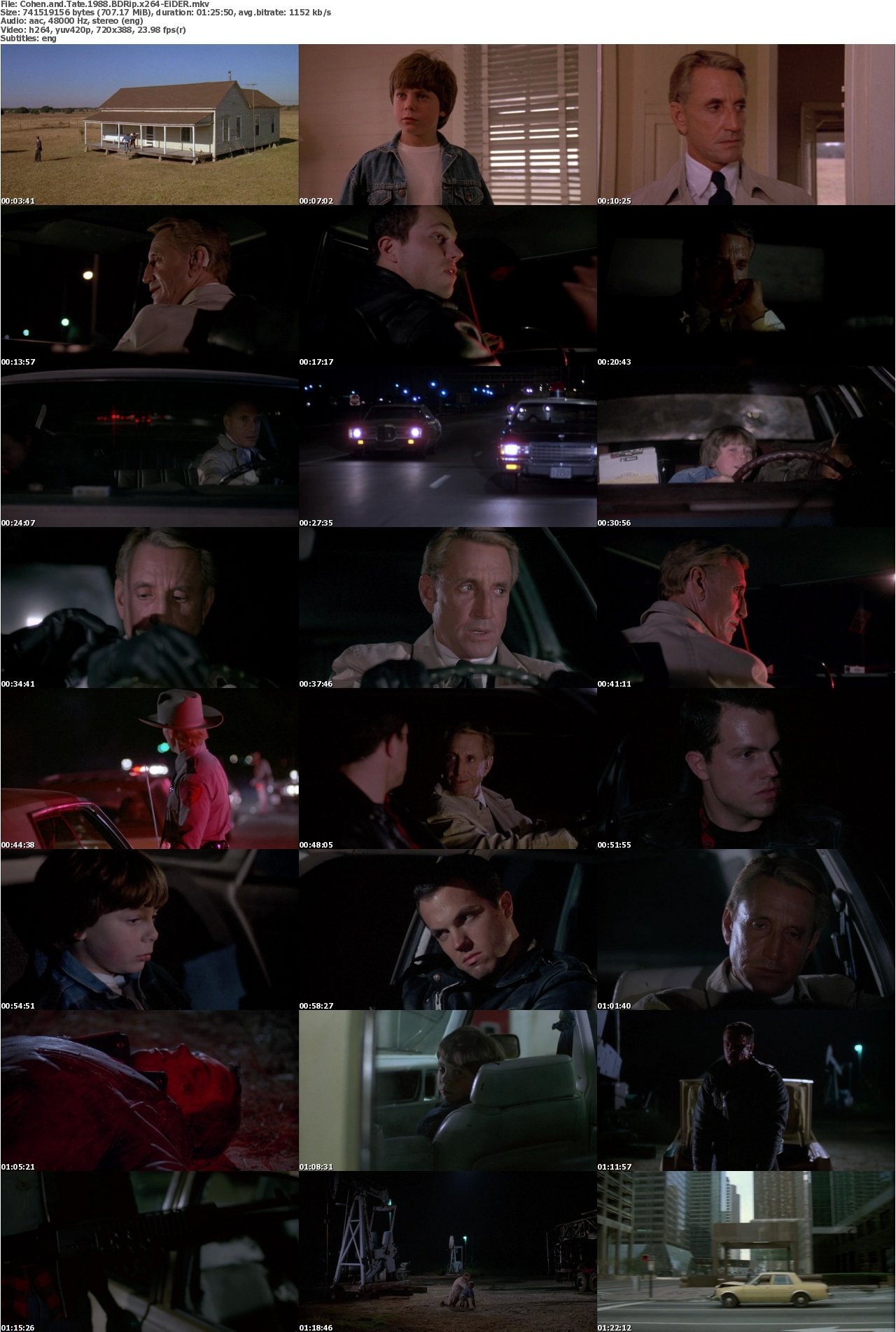 Cohen and Tate 1988 BDRip x264-EiDER