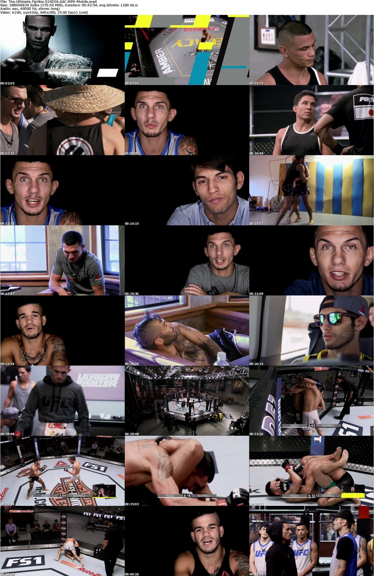 The Ultimate Fighter S24E06 AAC MP4-Mobile