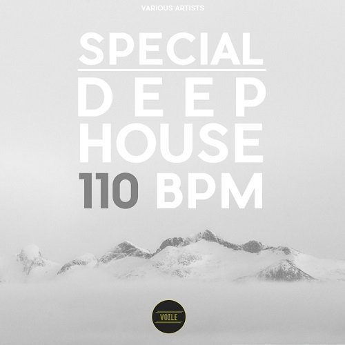 Special Deep House 110 BPM (2016)