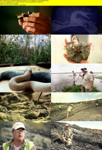 Titanoboa Monster Snake 2012 720p BluRay x264-SADPANDA
