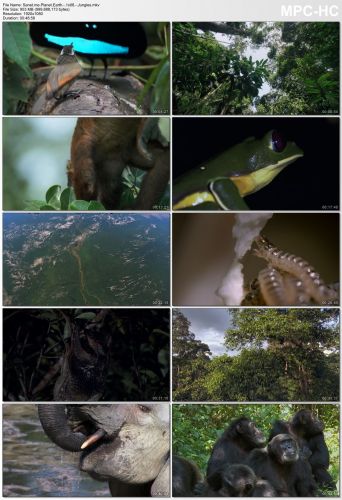 Planet Earth S01 1080p HEVC PLEX jlw