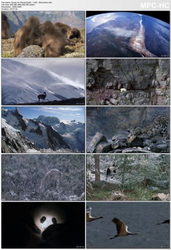 Planet Earth S01 1080p HEVC PLEX jlw