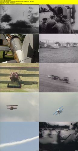 World War One  Centenary Collection  The Red Baron - German Aircraft - SecInc