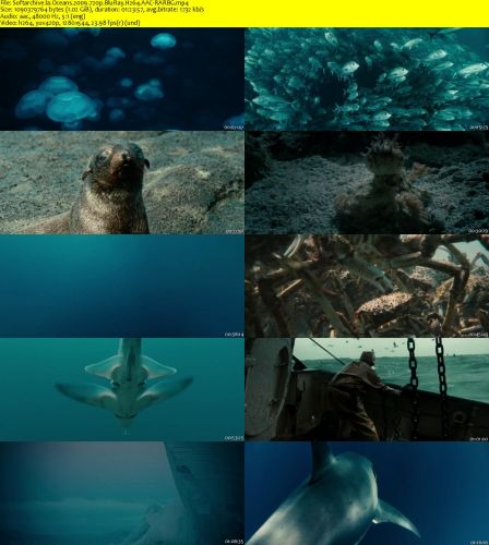 Oceans 2009 720p BluRay H264 AAC-RARBG